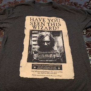 Harry Potter Sirius Black Azkaban